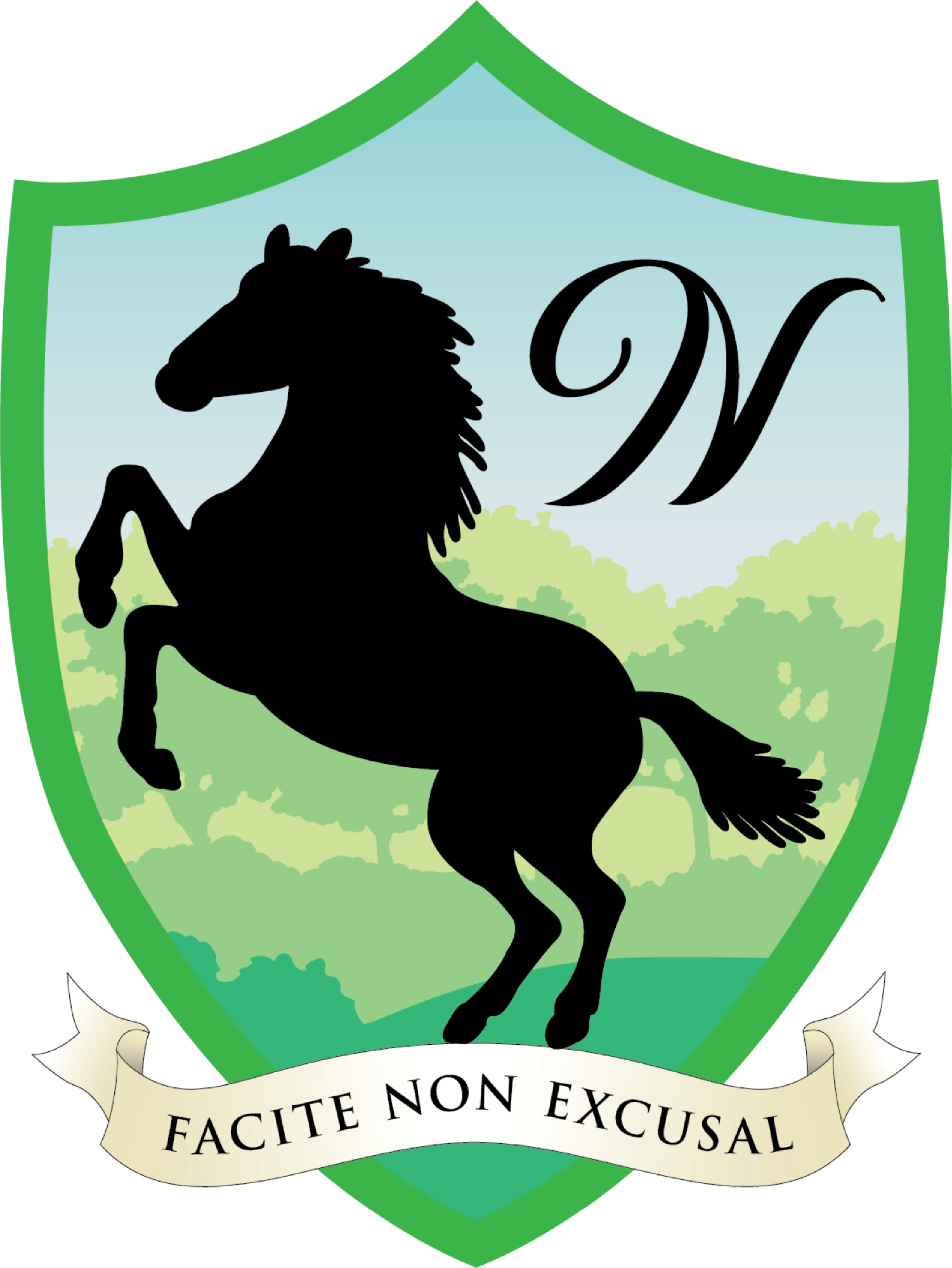 Make No Excuses house logo