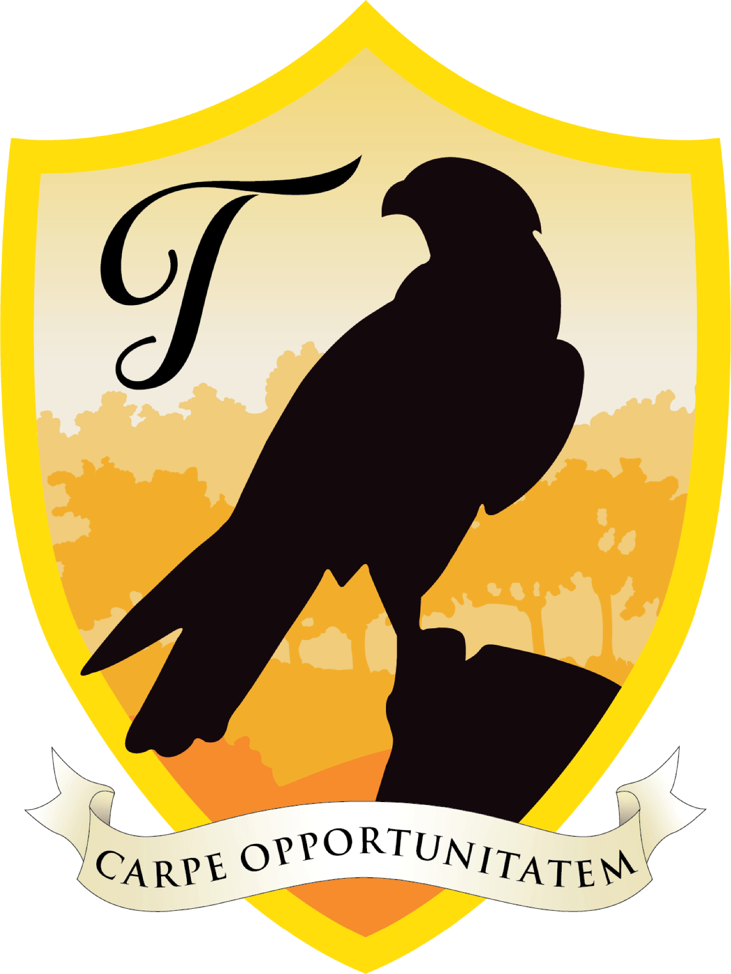 Embrace Opportunities house logo